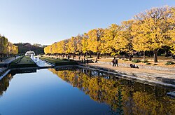 2018 Showa Memorial Park 02